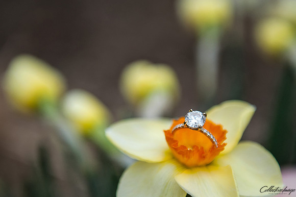 Small_20150419_0008