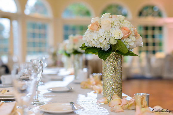 Vermeulen_20160827_03430343