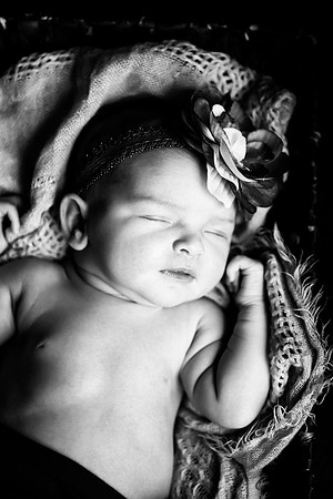 Smith_20170406_0068_BW