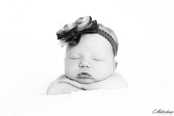 Brooks_20170417_0009_BW
