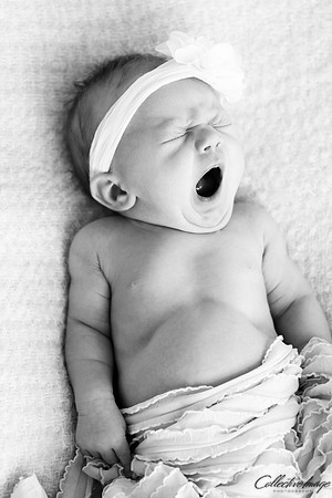Brooks_20170417_0014_BW