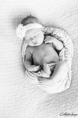 Brooks_20170417_0016_BW