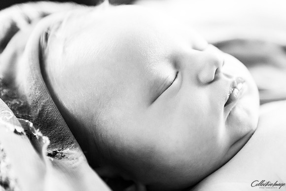 Brooks_20170417_0026_BW
