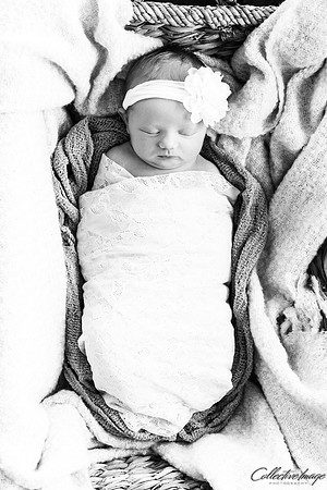 Brooks_20170417_0027_BW
