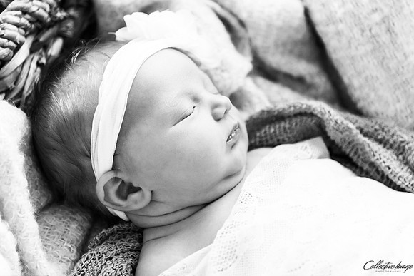 Brooks_20170417_0028_BW