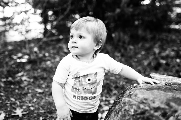 Rahn_20170512_0014_BW