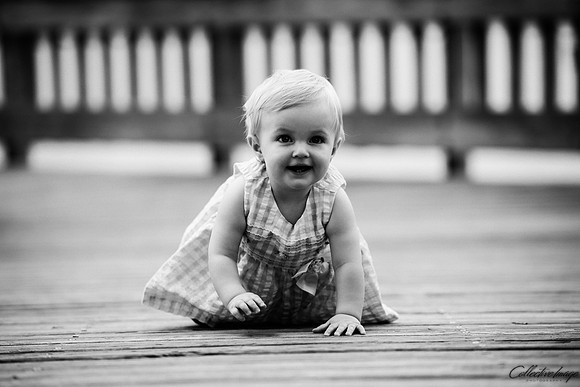Vogelei_20170723_0037_BW