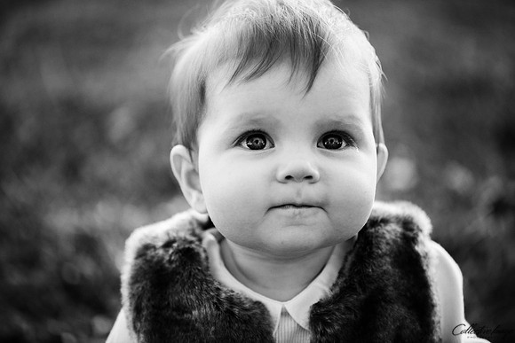 Dawson_20171020_0015_BW