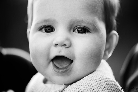 Dawson_20171020_0051_BW
