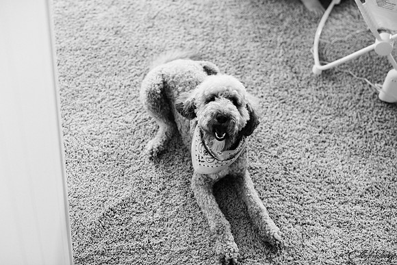 Needham_20180510_0009_BW