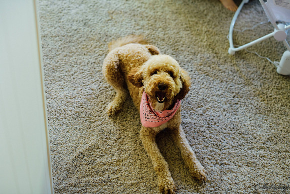 Needham_20180510_0009
