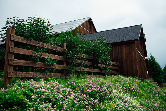 Gray_20180623_0009