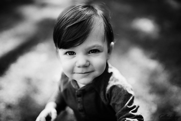 _EEL6820_BW