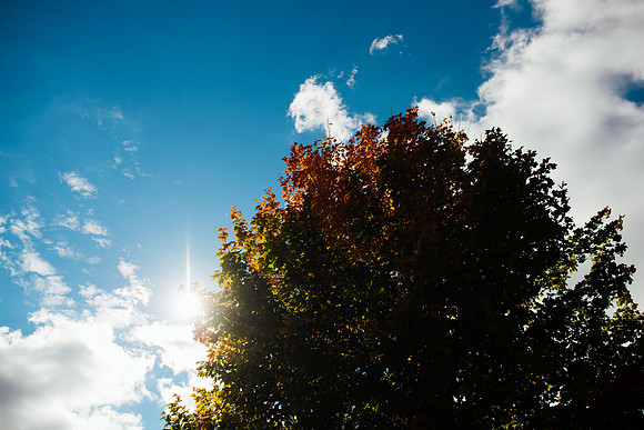 Barlow_20181013_0001