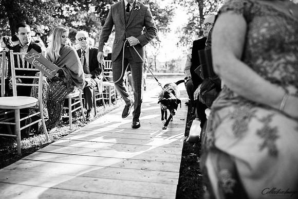 Persha_20191012_0731_BW