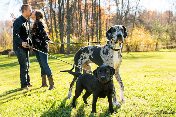 Patton_20161106_0004