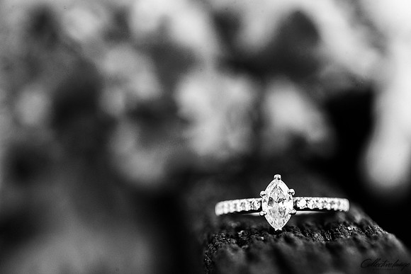 Patton_20161106_0088_BW