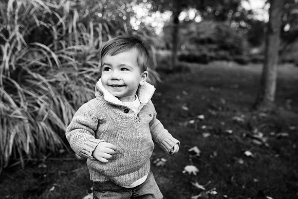 Kott_20161022_0021_BW